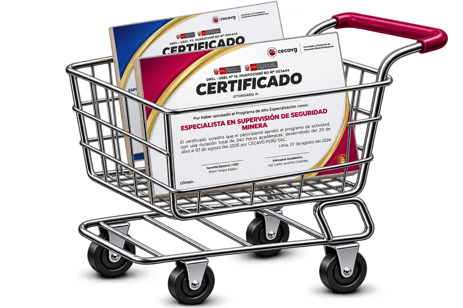 Certificaciones CECAVG